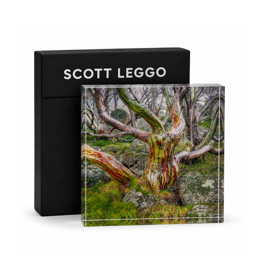 SCOTT LEGGO ACRYLIC BLOCK SMALL ASSORTED
