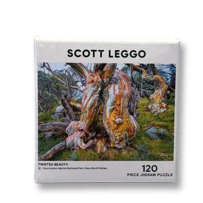 SCOTT LEGGO PUZZLE SMALL ASSORTED