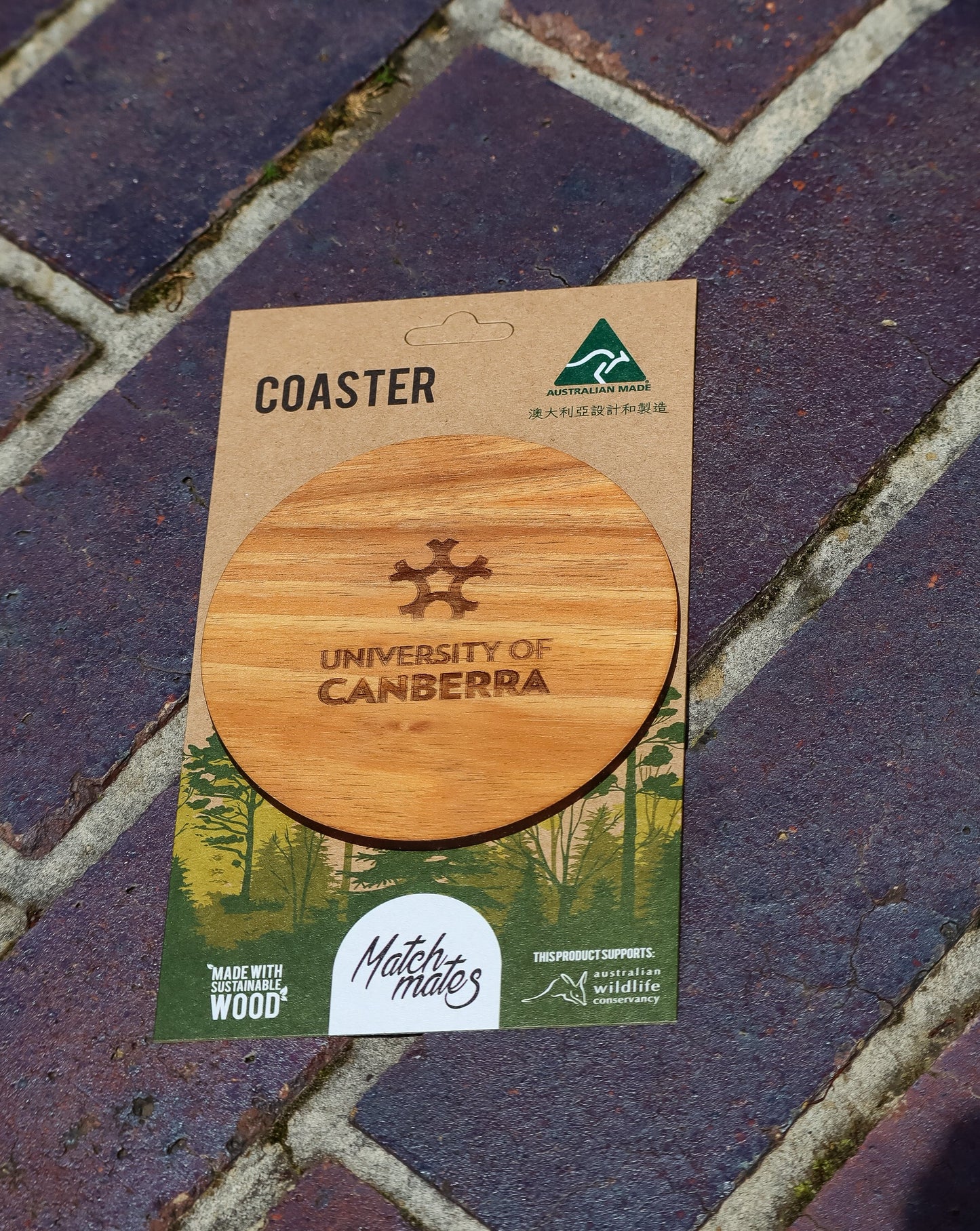 UC SINGLE COASTER BLACKWOOD